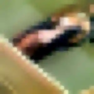 Jolie Fanny, 33 ans à Mellac - voir sa photo