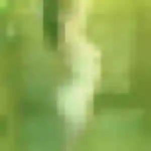 Jolie Wanda, 37 ans à Mende - la contacter