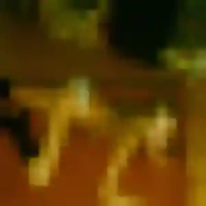 Photo perso de Virginie, 28 ans à Messanges - plan discret