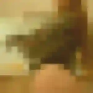 Lou-Anne (37 ans) à Meximieux cherche une rencontre aujourd'hui