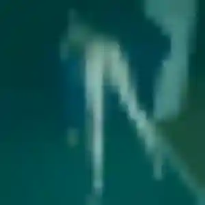 Photo privée de Anne-Laure, 33 ans à Mirebeau-sur-Bèze - rencontre coquine