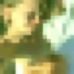 Photo de Djamila à Mirmande (26 ans) - plan cul anonyme