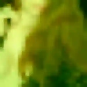 Profil de Adele à Misy-sur-Yonne (23 ans) - plan cul anonyme