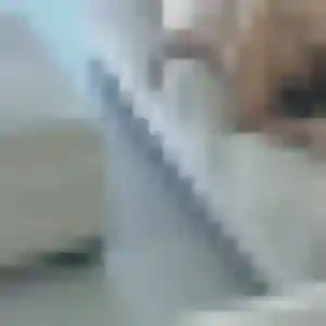 plan cul à Molac : photo de Flavia, 28 ans - accès libre