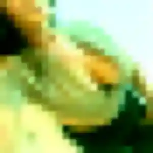 Photo de Siham à Mont-Notre-Dame (38 ans) - plan cul anonyme