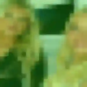 Melodie, 33 ans, cherche un plan cul à Montaigu