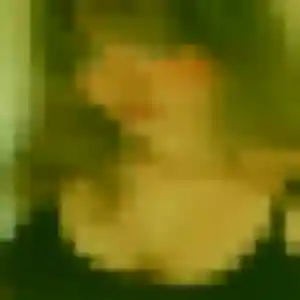 Charlotte (31 ans) à Montchevreuil attend une rencontre rapidement