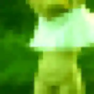 Photo de Faustine à Montcresson (34 ans) - plan cul anonyme