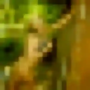 Touria, fille de 36 ans cherche plan cul à Monteux