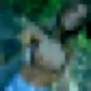 Amel, 28 ans, en ligne à Montgermont pour une rencontre coquine