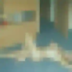 Thais, 33 ans, connectée à Monthieux pour un plan cul