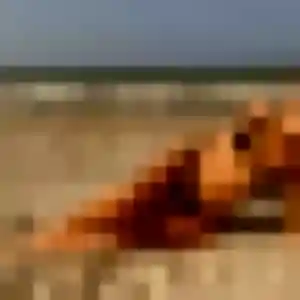 Sara, 32 ans, en ligne à Montigny-lès-Metz pour une rencontre coquine