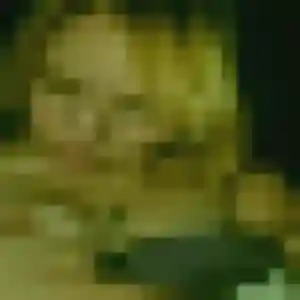 Photo exclusive de Celia, 36 ans à Montreuil-en-Touraine - plan discret
