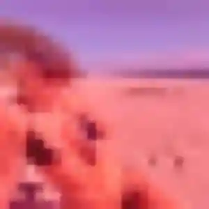 Judith, 35 ans, dispo pour plan cul à Montrevel-en-Bresse
