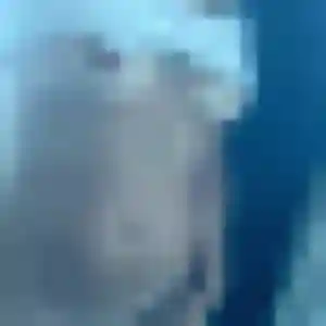 Sexy Leontine, 22 ans à Montsalvy - la contacter