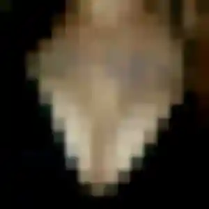 Hajar, femme de 32 ans cherche plan cul à Morbecque