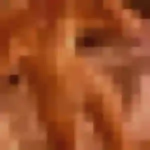 Celia, 31 ans, cherche un plan cul à Morschwiller-le-Bas
