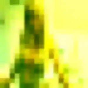 Photo exclusive de Eglantine, 38 ans à Mouans-Sartoux - rencontre sans lendemain