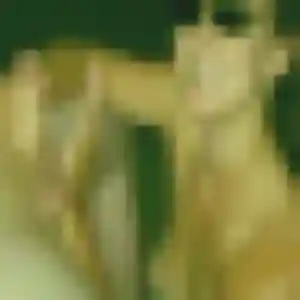Photo de Elise à Mouchamps (29 ans) - plan cul discret