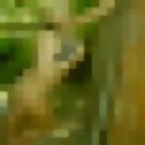 Rose-Marie (41 ans) à Moyenneville propose une rencontre ce soir