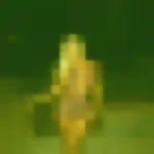 Vanessa, femme de 38 ans propose plan cul à Mur-de-Sologne