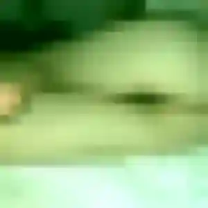 Gaia, 34 ans, dispo pour plan cul à Nassandres sur Risle