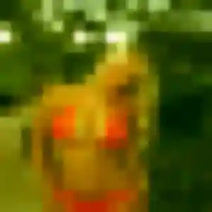 Photo perso de Graziella, 43 ans à Nay - rencontre sans lendemain