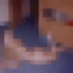Josephine, 34 ans, disponible à Nébouzat pour une rencontre coquine