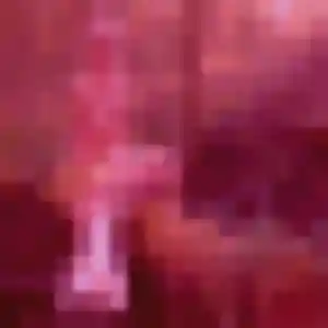 Photo privée de Ophelie, 33 ans à Neuville-aux-Bois - rencontre coquine