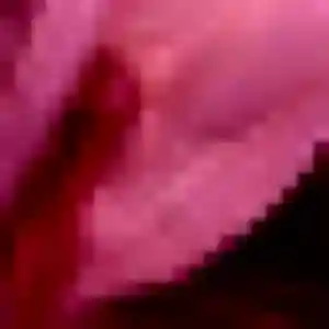 Photo privée de Coralie, 31 ans à Nieul-le-Virouil - plan discret
