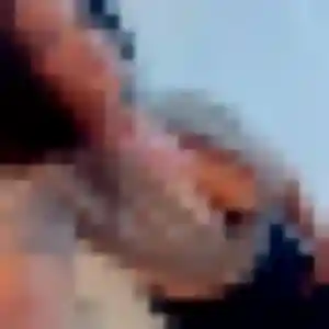 Rejoins Violette, 23 ans à Noyers gratuitement