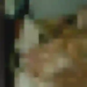 Caroline, 36 ans, dispo pour plan cul à Oermingen