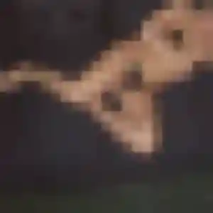 Profil de Jocelyne à Onnaing (36 ans) - plan cul gratuit