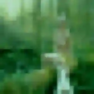 Charmante Jessica, 41 ans à Orgelet - la contacter