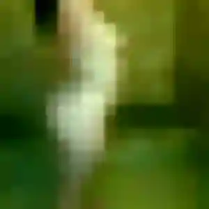 Aurore (39 ans) à Origny-en-Thiérache attend un plan cul ce soir