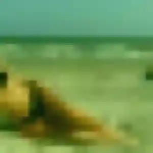 Photo perso de Rym, 44 ans à Orist - rencontre coquine