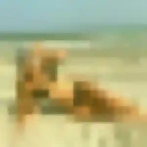 Photo de Romina à Orleix (33 ans) - plan cul sans inscription