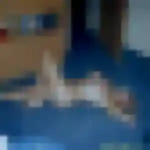 Whitney, femme de 34 ans cherche plan cul à Orry-la-Ville