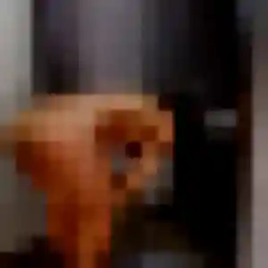 Louisa, 42 ans, dispo pour plan cul à Ossun