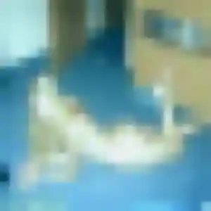 Candice (29 ans) à Paimpol cherche une rencontre ce soir