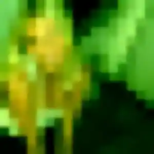Photo privée de Sonia, 35 ans à Palinges - rencontre sans lendemain