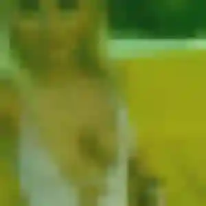 Jolie Alice, 32 ans à Pannes - la contacter