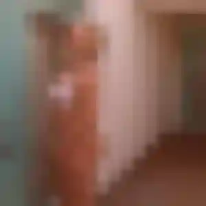 Photo de Augustine à Pelleautier (24 ans) - plan cul anonyme