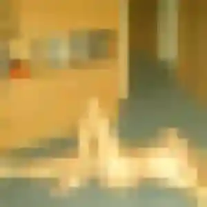 Photo de Jade à Perdreauville (27 ans) - plan cul anonyme