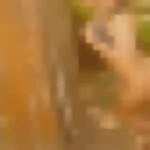 Sexy Zina, 35 ans à Péronnas - la contacter
