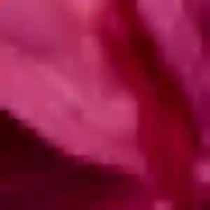 plan cul à Perpignan : profil de Nina, 45 ans - inscription gratuite