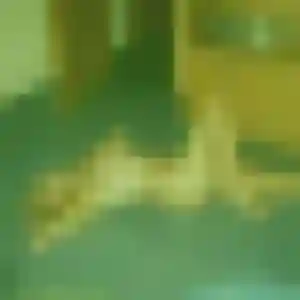 Photo sexy de Wilhelmine, 40 ans à Peyrehorade - rencontre coquine