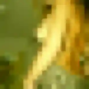Photo privée de Brigitte, 45 ans à Peyrilhac - plan discret