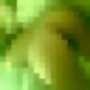 Judith, 33 ans, dispo pour plan cul à Philippsbourg