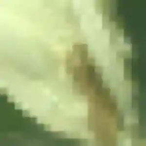 Photo de Olga à Pithiviers-le-Vieil (42 ans) - plan cul anonyme